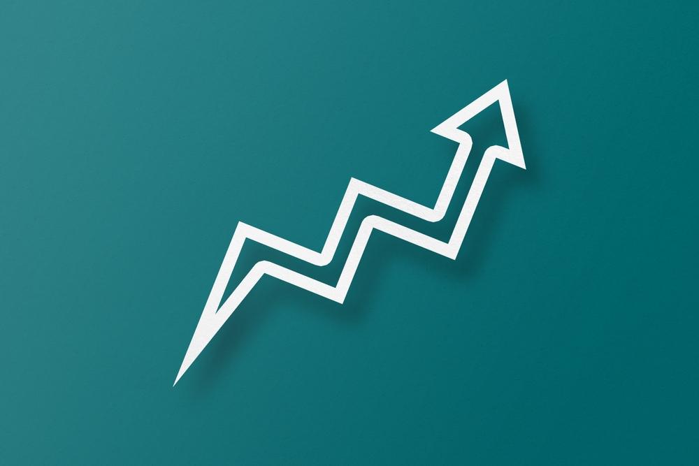 Investment & Business Development